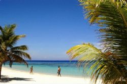 Roatan, Honduras. by Shawn Jackson 